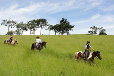 Brazil-Rio/Sao Paulo-Plantation Ride